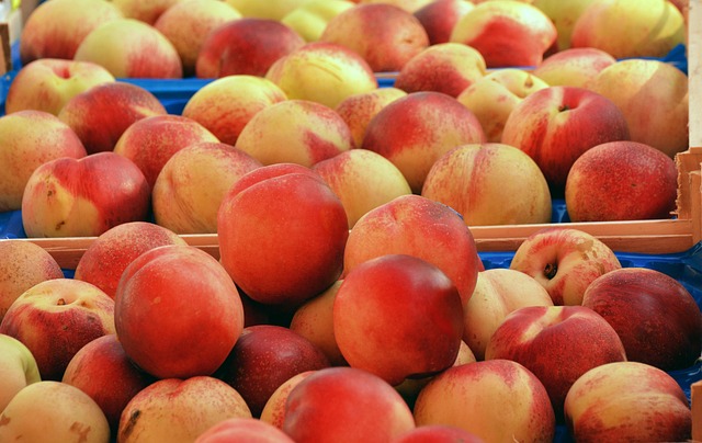 farmers market