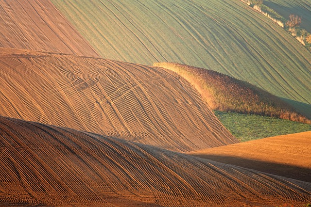 field-640x480-20132402.jpeg