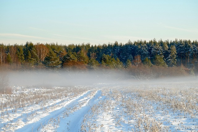field