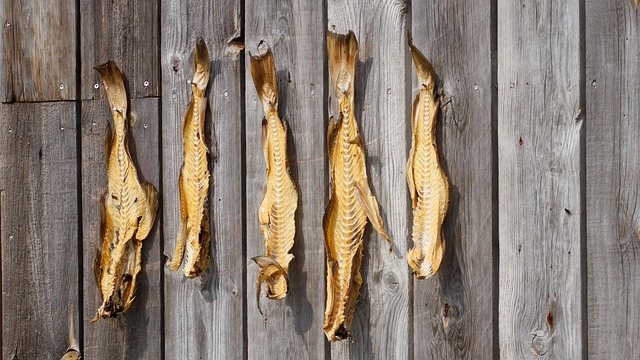 fishing-640x480-68006592.jpeg