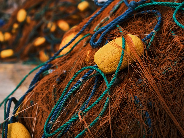 Fishing