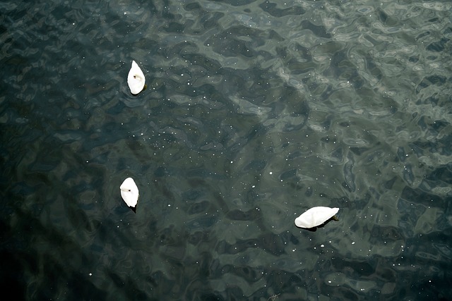 flood-640x480-57194543.jpeg