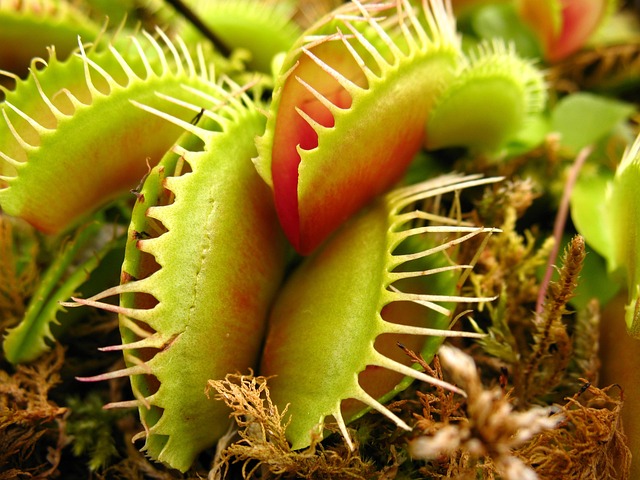 flyfishing-640x480-75068235.jpeg