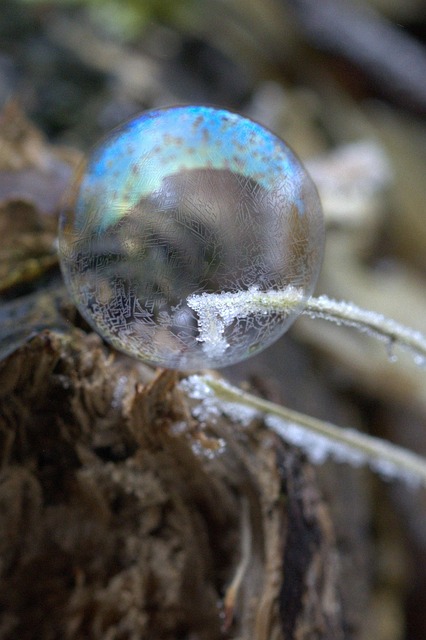 freeze