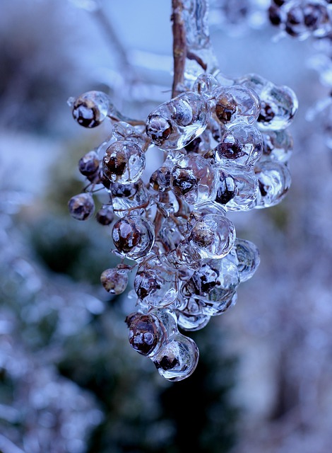 freeze