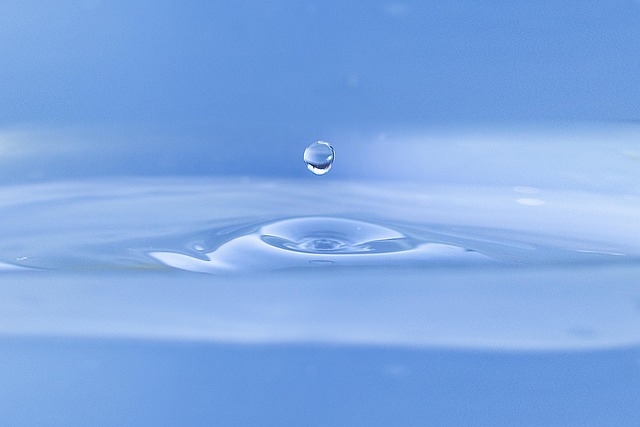 fresh-640x480-88814871.jpeg