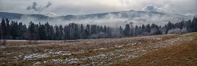 frost