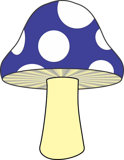 fungus-640x480-76966045.png