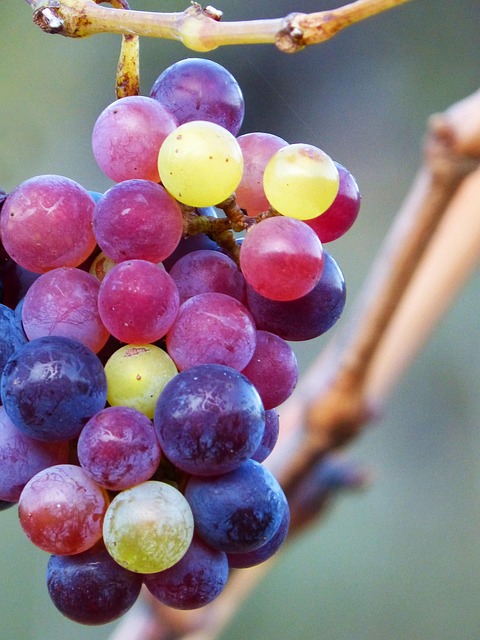 grapes