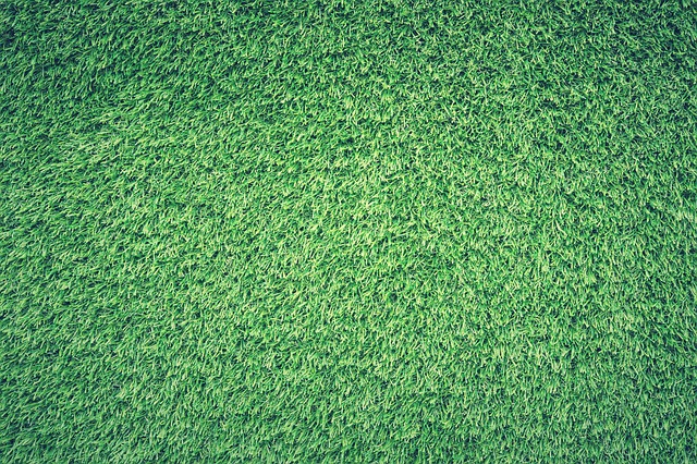 green-640x480-94523345.jpeg
