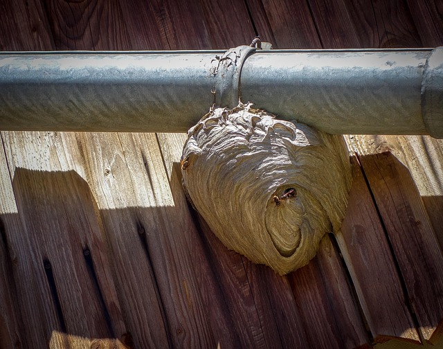gutter