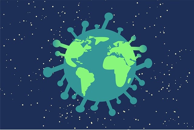 Understanding Mold’s Allergy Risks and Health Impact