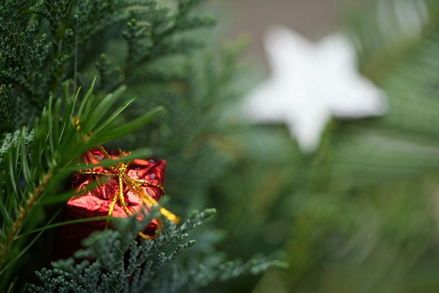 holiday-640x480-98940271.jpeg