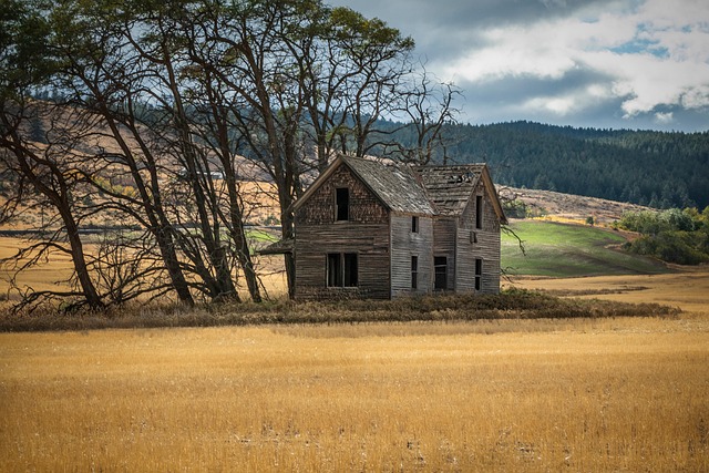 homesteads-640x480-91978479.jpeg