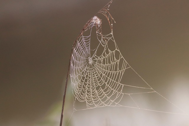 humidity-640x480-4785156.jpeg