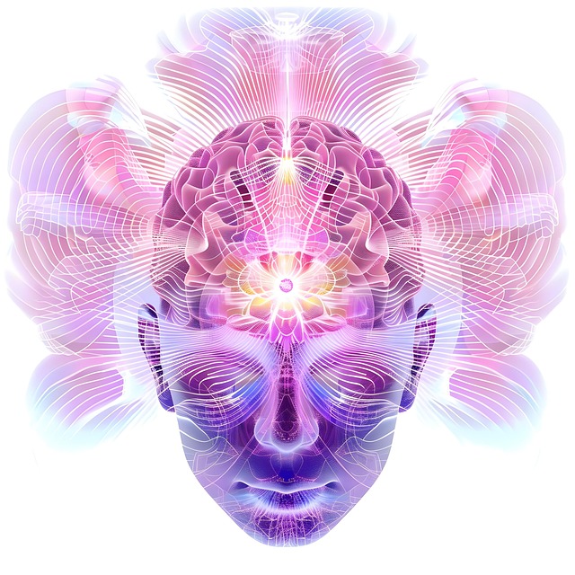 insights-640x480-2789431.jpeg