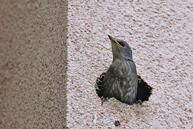 insulation-640x480-14325769.jpeg