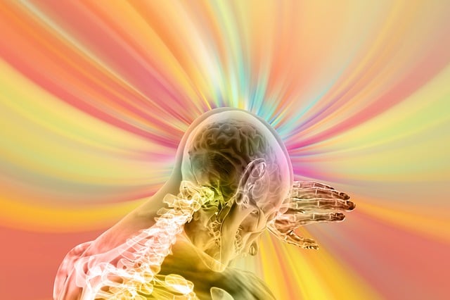 intelligent-640x480-99537385.jpeg