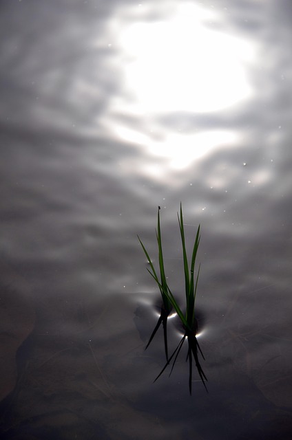 irrigation-640x480-26184337.jpeg