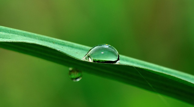 irrigation