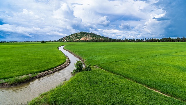 irrigation