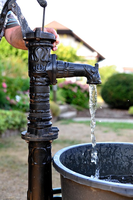 irrigation