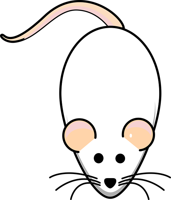 lab-640x480-34185210.png