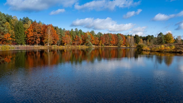 Gear Up: Essential Family Kayaking Adventures in Lane County