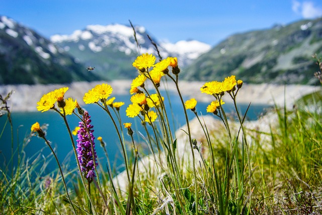 lakes-640x480-95444508.jpeg
