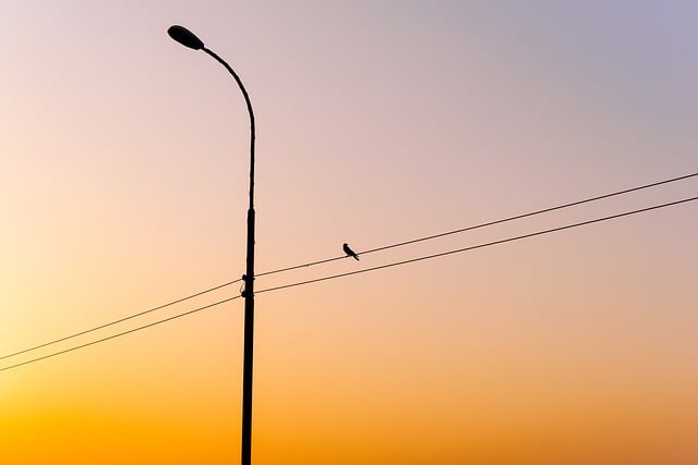 lamp