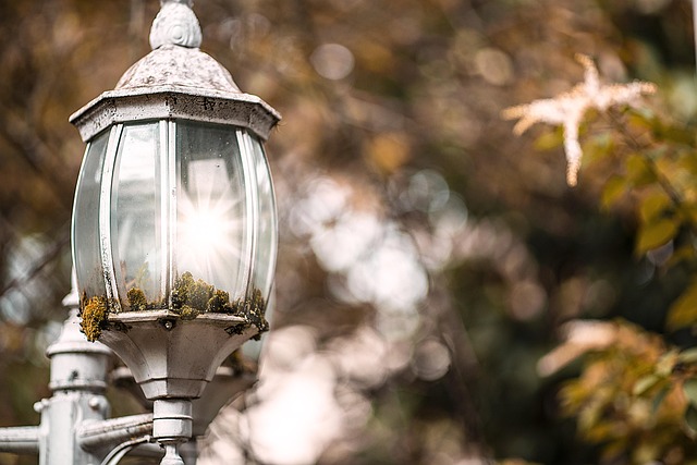 lamp