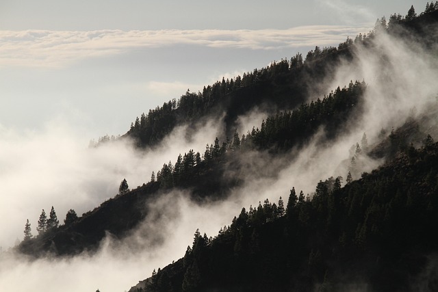 Uncover Eugene’s Hidden Hiking Trails: Lane County Secrets