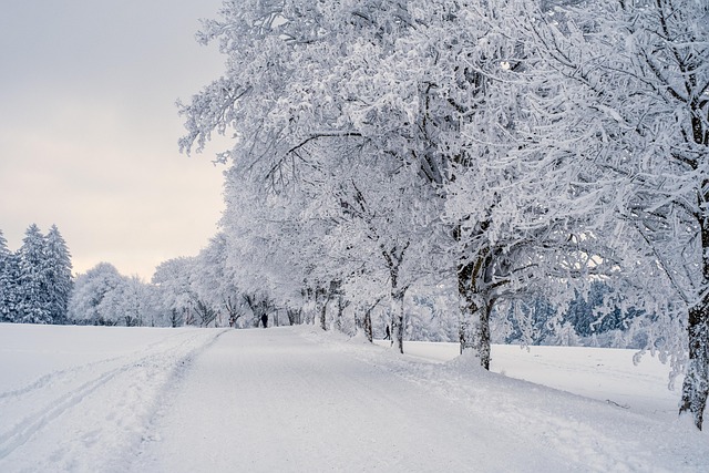 landscape-640x480-73476738.jpeg