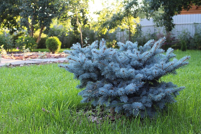 landscaping-640x480-41186802.jpeg