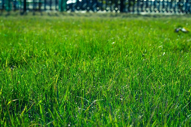 landscaping-640x480-6594895.jpeg