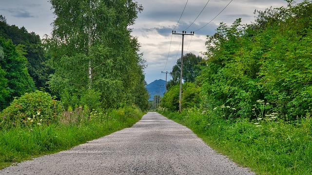 Lane
