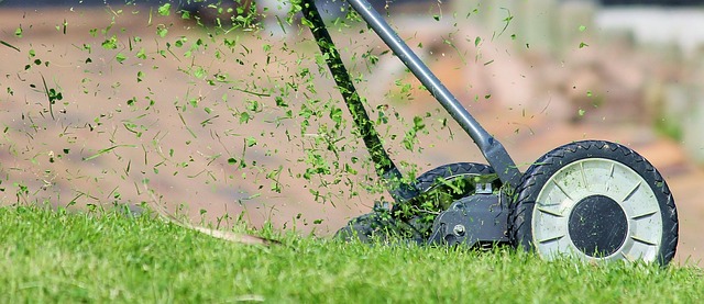 lawn-care-640x480-35649161.jpeg