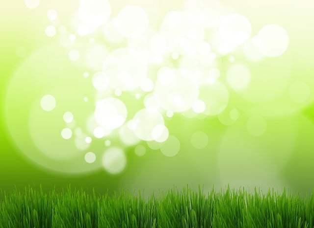 Lawn Care