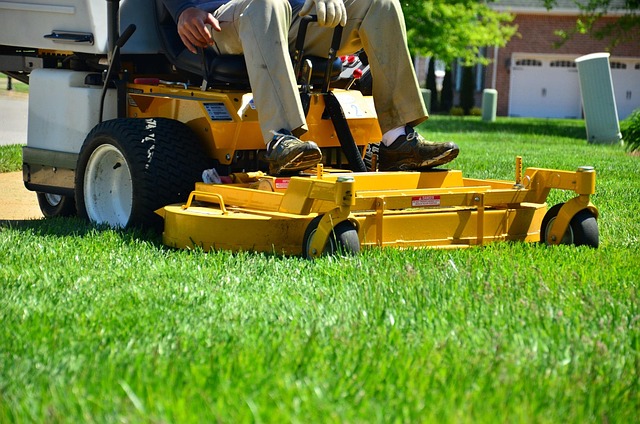 lawn-care-640x480-87800701.jpeg