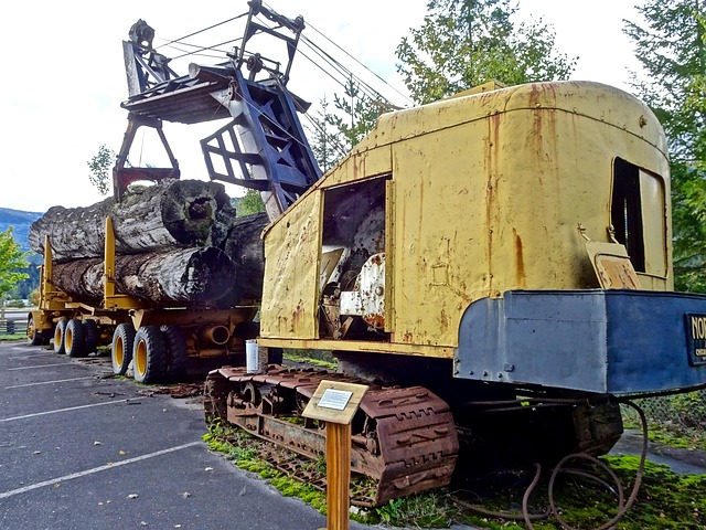 logging