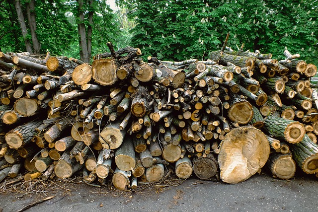 logging