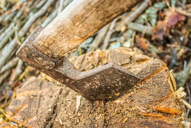 logging
