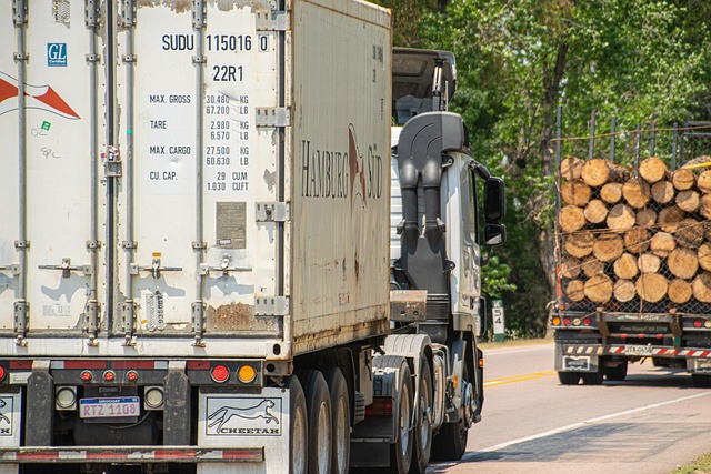 logging