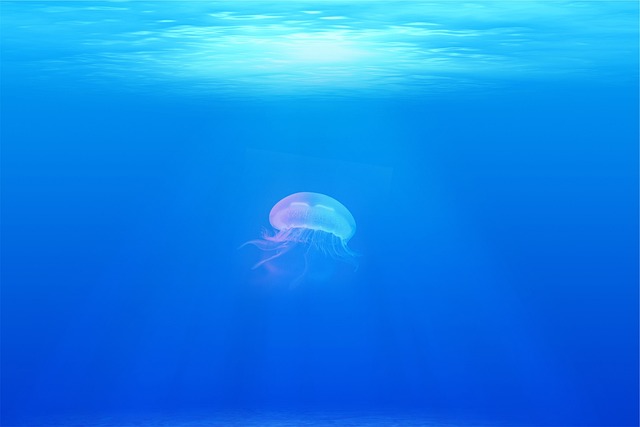 marine