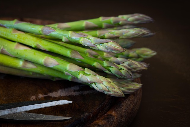 Eugene Oregon Festivals: Seasonal Culinary Celebrations Around Every Corner
