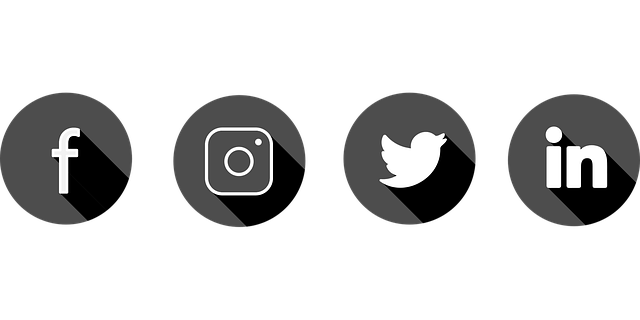 media-640x480-53696282.png