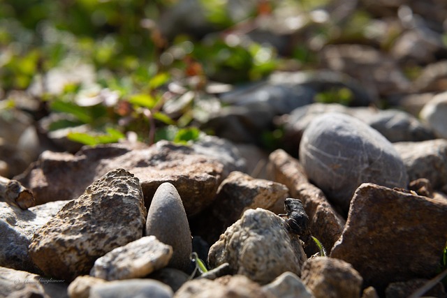 mineral-640x480-96341249.jpeg