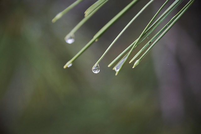 moisture