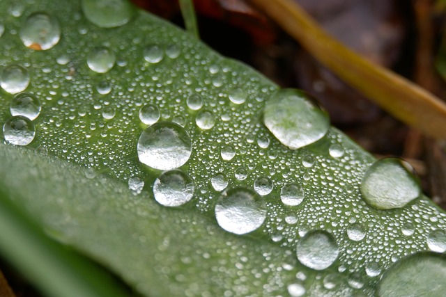 moisture