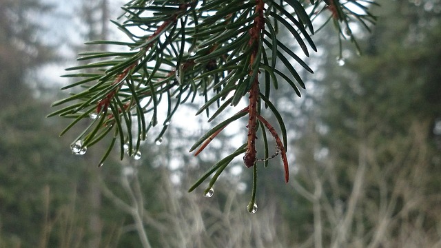 moisture-640x480-37559094.jpeg
